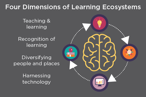 Four Dimensions of Learning Ecosystems