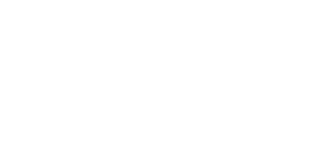 Center on System Leadership