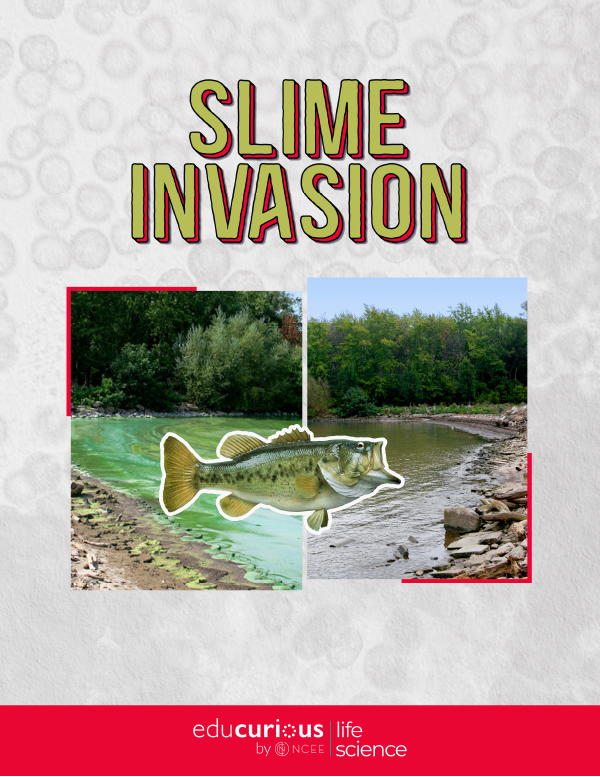 Slime Invasion